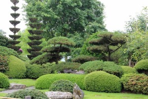 Japanse tuin