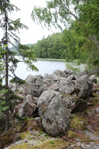 Omneberget/Omnesjon 