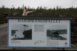 Harsprangsfallet  