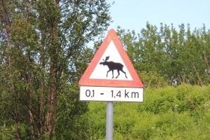Eland