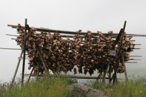 Stokviskoppen 