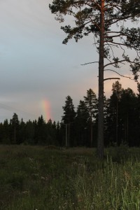Regenboog 