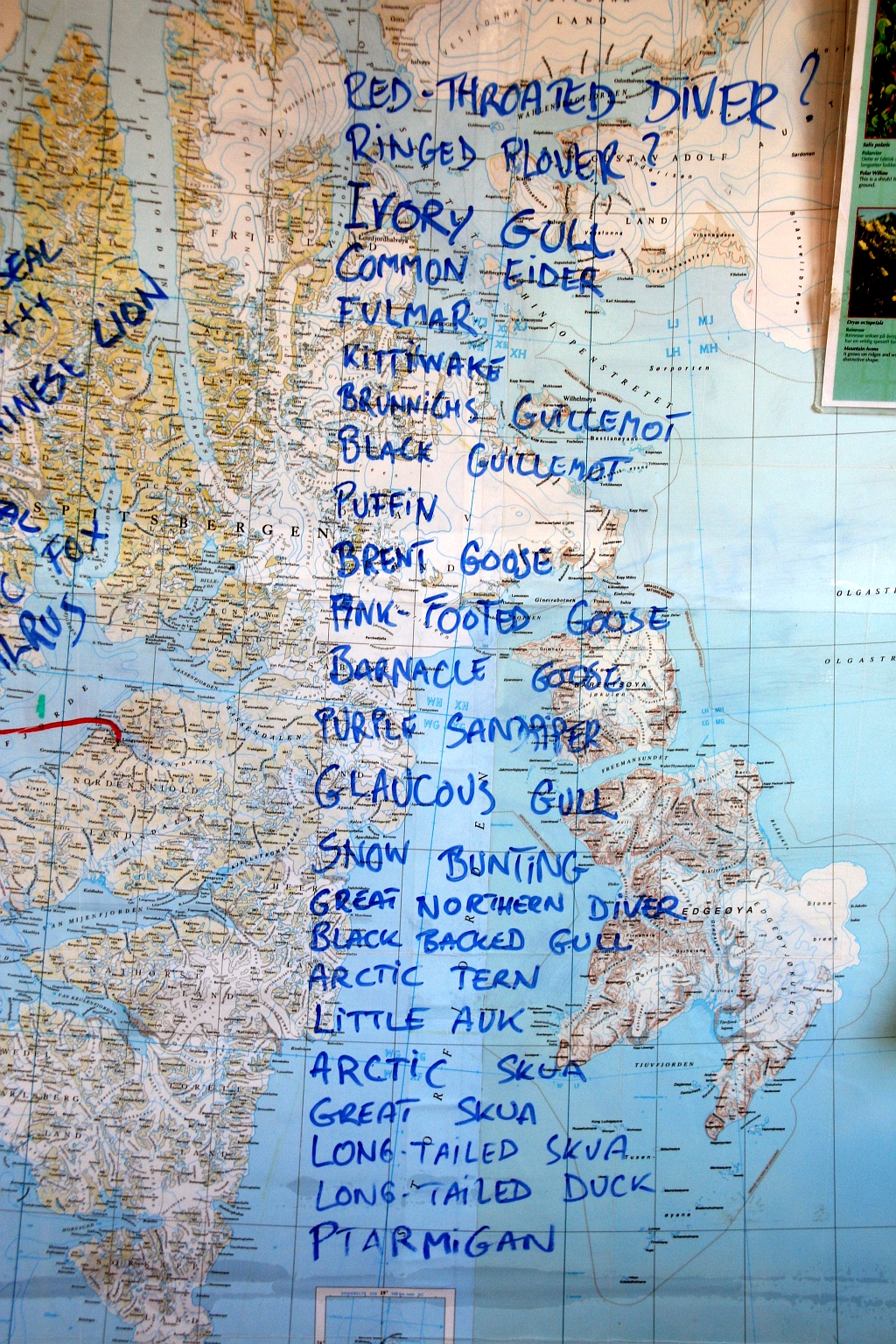 110_Vogels_Svalbard