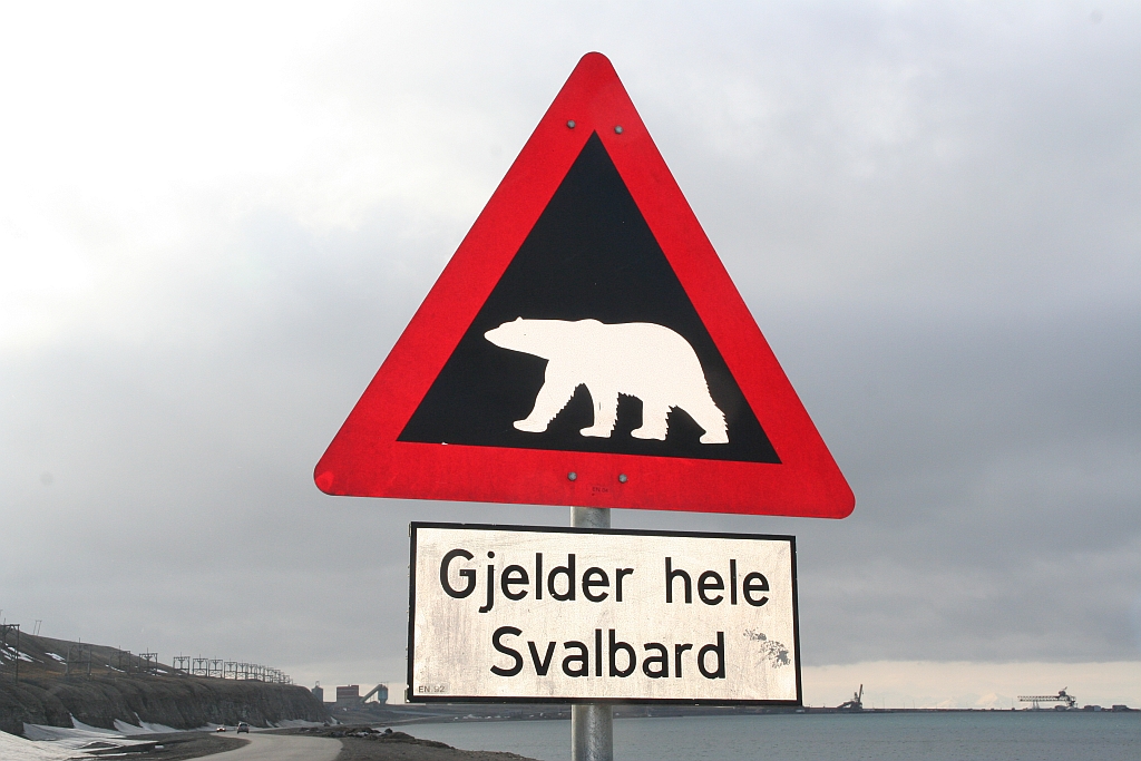 126_IJsbeer_bord