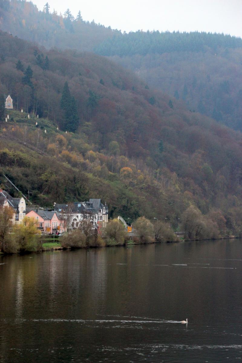 Bernkastel_20141130_165131_034