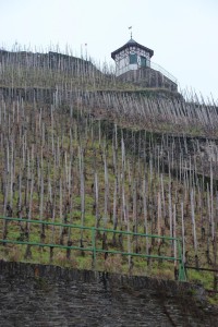 Bernkastel_20141130_141646_008